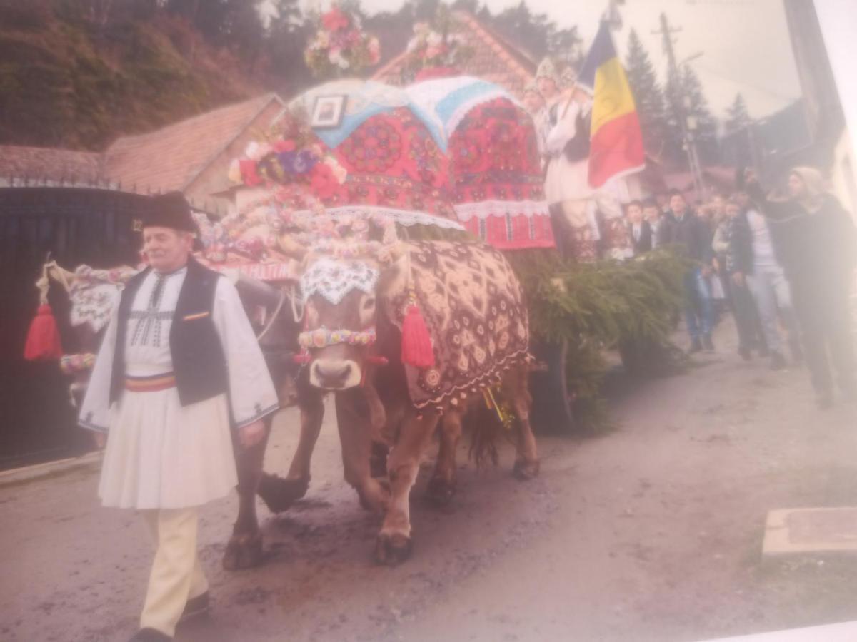 Pensiunea Casa Roman Tălmaciu Exteriör bild